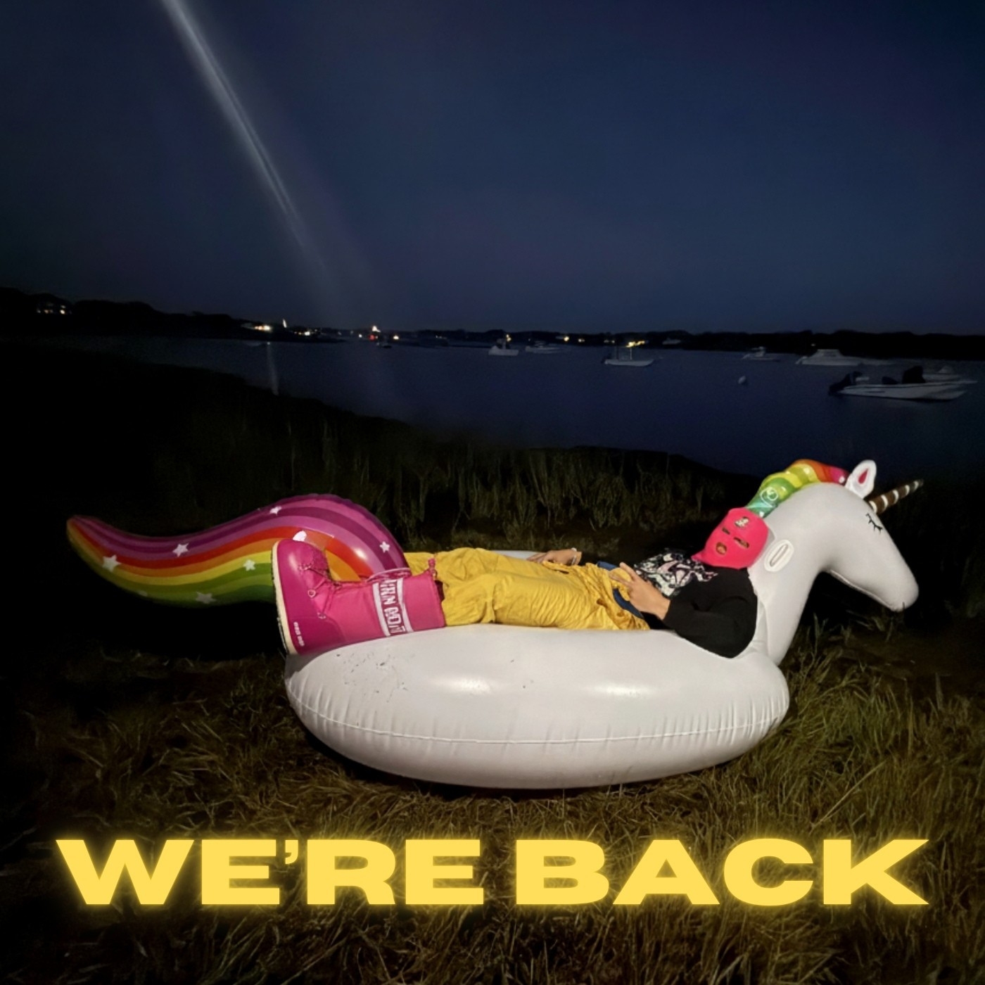 WE'RE BACK - Preview